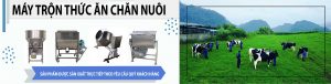 Tổng hợp 3 dòng máy trộn thức ăn chăn nuôi cao cấp